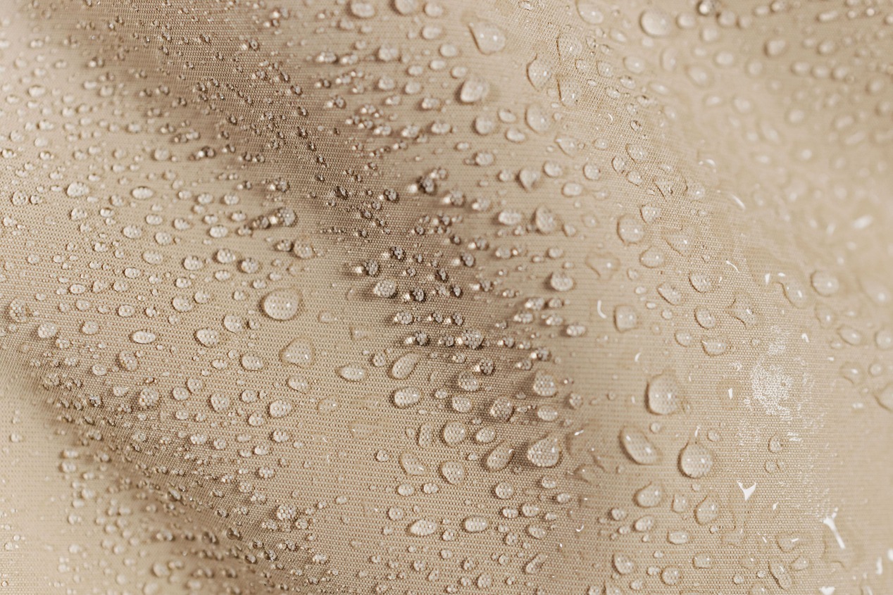 lucie-sassiat-belle-de-cercy