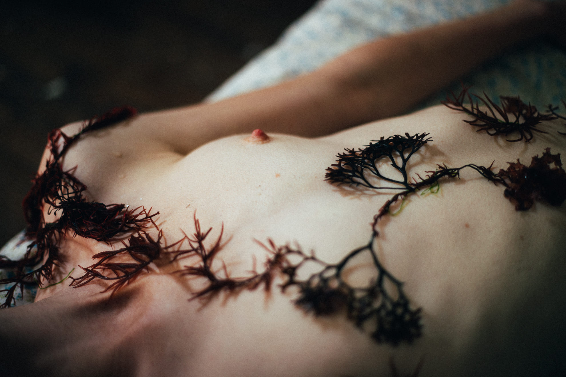 lucie-sassiat-belle-de-cercy